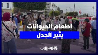إطعام الحيوانات يثير الجدل.. مواطنون يطالبون بمراجعة مقتضيات قانون 19.25 thumbnail