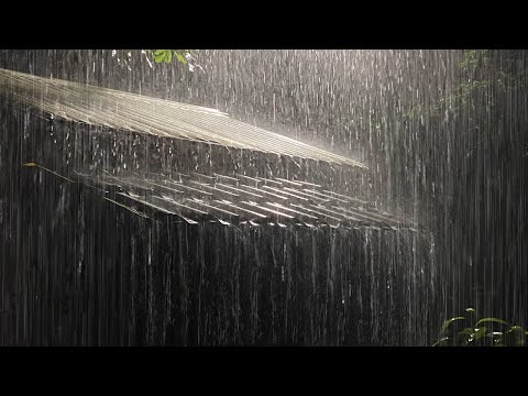 Duerma instantáneamente en un techo de hojalata con fuertes tormentas y sonidos de trueno puro en u