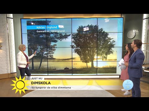 Ulrikas dimskola: "Påminner om en kaffekopp" - Nyhetsmorgon (TV4)