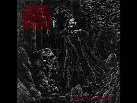 Order of Nosferat - Shadows Over Wisborg