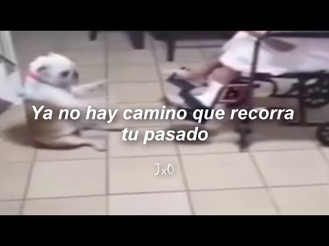 Perro bailando - Ya No Hay Camino Que Recorra Tu Pasado // Letra