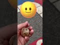 How To Get Six In Ludo Hvordan Kan Man Få Seks I Ludo