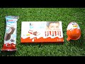 ASMR Satisfying Kinder Joy Surprise Egg Kinder Chocolate Kinder Pingui Unboxing Asmr Kinder