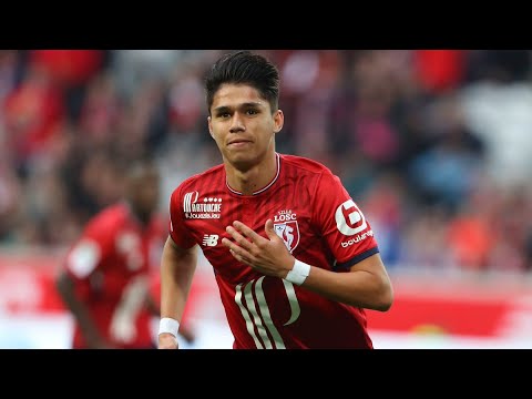 TODOS OS 18 GOLS DE LUIZ ARAÚJO PELO LILLE