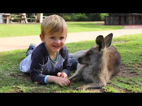 Australian Reptile Park