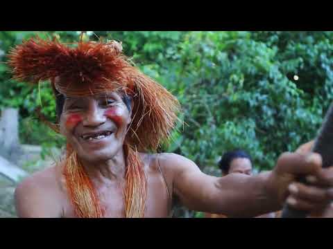 QAPAQ NAN - Quenacho, Toyos, Trumpet