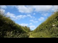 The Memory Band - The Highest Song In The Sky (For Chris Yates)