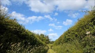 The Memory Band - The Highest Song In The Sky (For Chris Yates)