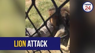 WATCH: Game reserve owner hospitalised after being mauled by a lion
