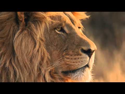 Chicane - Orleans (feat. Lisa Gerrard) with Apple Desktop Pictures