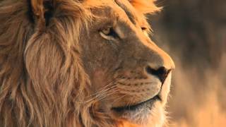 Chicane - Orleans (feat. Lisa Gerrard) with Apple Desktop Pictures  - 4K 60 FPS