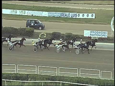 Trotto 21/06/2015 - 1° corsa