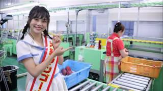 SKE48・小畑優奈、沖縄マンゴー大使任命式に出席