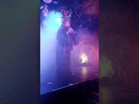 Gennady Papizh. Forest spirit song