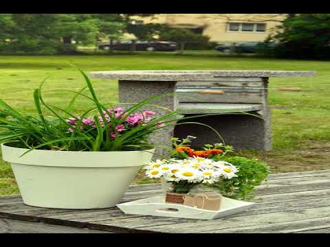 Vinni Hostel - Vinni - Estonia