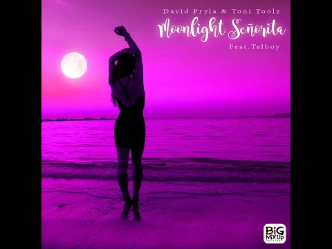 David Pryla & Toni Toolz - Moonlight Señorita feat. Telboy (Full Release x4)