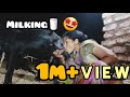 Viral Milk Making Vlog ️