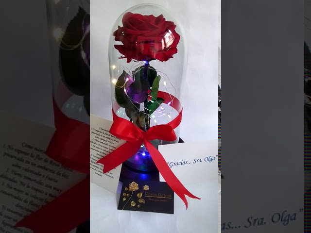Vídeo relacionado con Mundo Eterno Rosa ETERNA Rojo 55CM Sant Jordi PRESERVADA