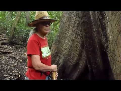 Save San Luis Forest, Save This Family