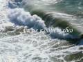 ΘΑΛΑΣΣΑ-ΜΙΧΑΛΗΣ ΧΑΤΖΗΓΙΑΝΝΗΣ/THALASSA-MICHALIS HATZIGIANNIS 