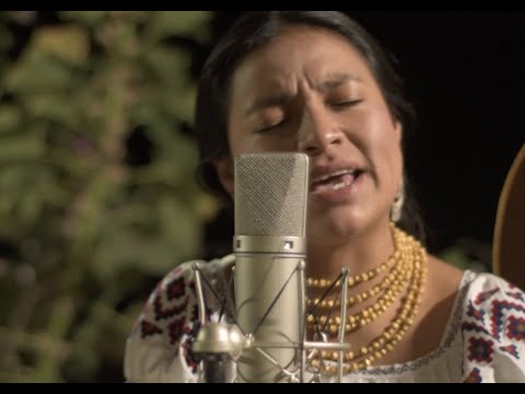 Humazapas - Como Chiwaku - ANTA music / sesión en vivo