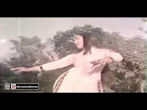 AYA JE ULAT ZAMANA - NOOR JEHAN - PAKISTANI FILM JATT DE DOGAR