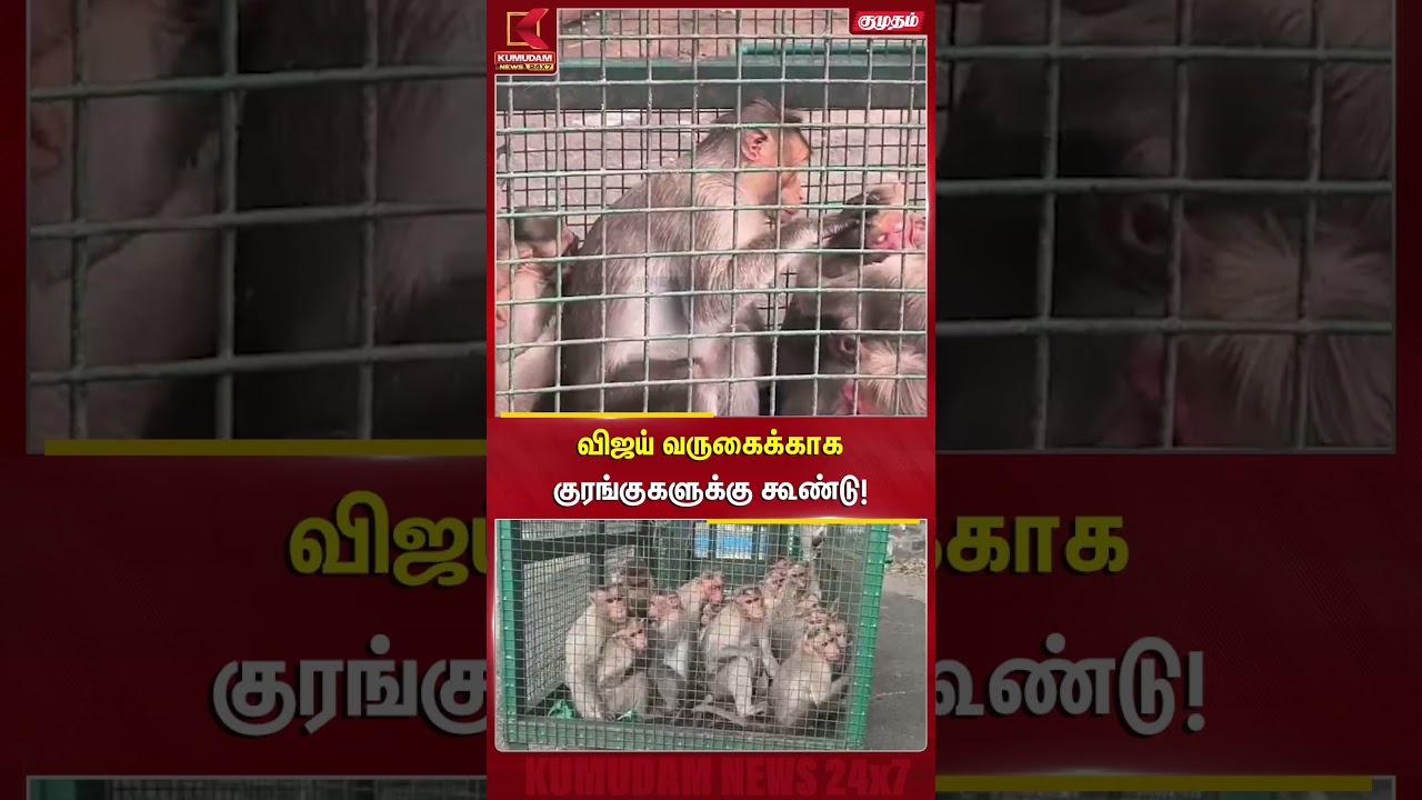 விஜய் வருகைக்காக குரங்குகளுக்கு கூண்டு | Mettur | Salem | Vijay | Kumudam News