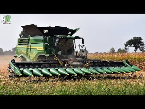 New John Deere X9 1100 - Geringhoff 16 row / Trebbiatura mais 2021 / Corn Harvesting in Italy