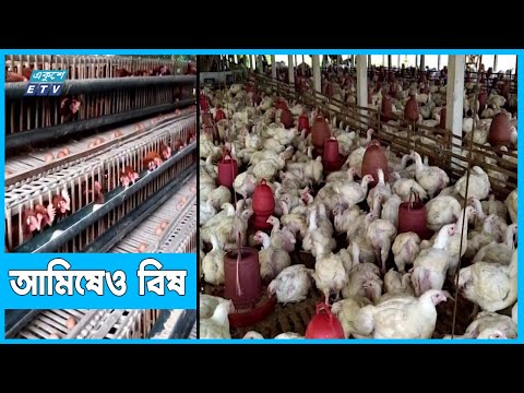 পুষ্টির বদলে ক্যান্সার ও কিডনী রোগের ঝুঁকি