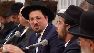 נכדי ר' בן ציון שנקר במארש ויאתיו תשנ"ח - מלוה מלכה לזכרו של ר' בן ציון שנקר ז"ל - חשון תשפ"ו