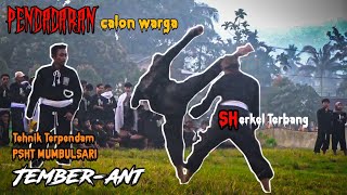 Download lagu SADISHNYA SAMBUNG PENDADARAN | PSHT JEMBER PART 1 mp3