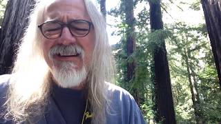 Sad Sound of the Wind