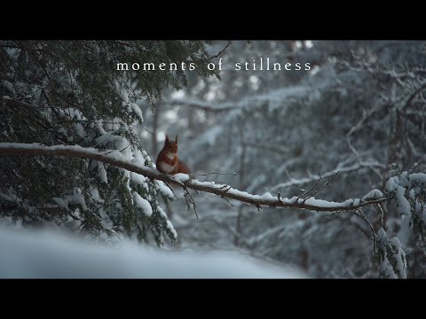 Moments of stillness | Piano Playlist