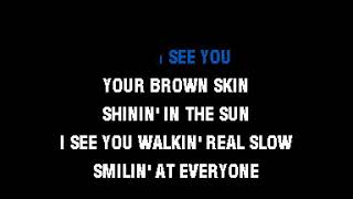 The Boys Of Summer (Don Henley) Karaoke Lyrics