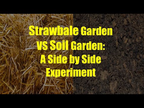 Straw Bale vs Conventional Gardening: A Side by Side Comparison