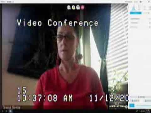 Crane vs. Sevilla matter before Matthew Harter Judge Family Division TELECONFERENCE 11/12/20 1-2
