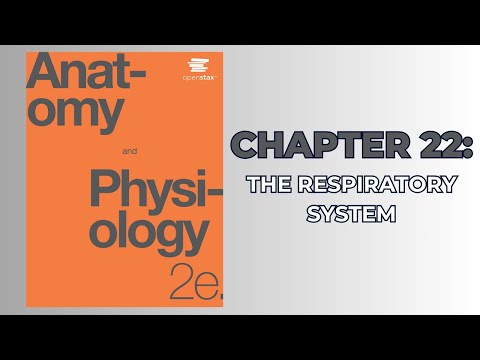OpenStax Anatomy and Physiology 2e (Audiobook) - Chapter 22: The Respiratory System