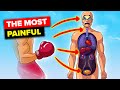 Most Painful Places To Get Punched