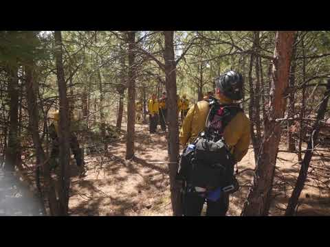 Building a Fire Line