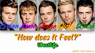 Westlife - How does It Feel? (Color Coded Lyrics)
