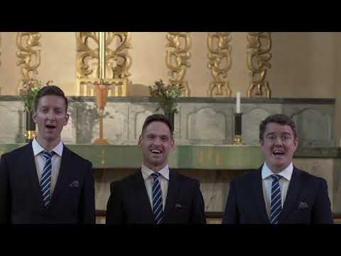 Ringmasters - Sommarpsalm