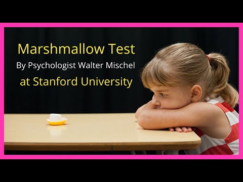 Marshmallow Test || Walter Mischel || Stanford University || Instant Gratification