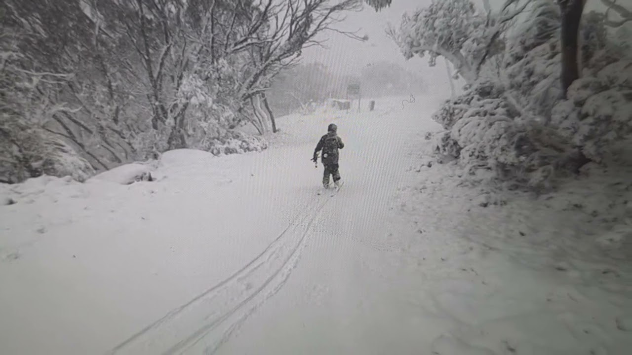 Звездецы нашего городка ! Волос дыбом от таких новостей . Элла Австралия