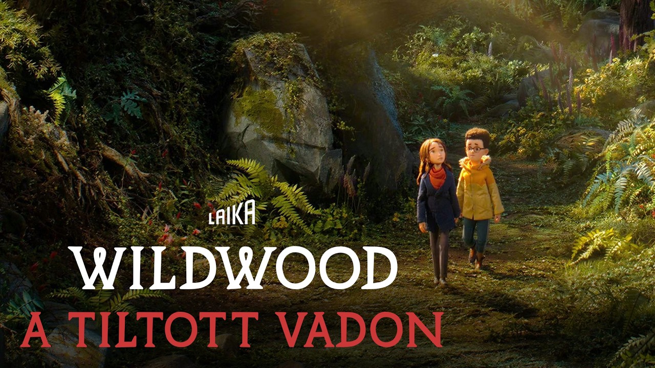 Video Cover