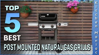 Top 5 Best Post Mounted Natural Gas Grills Review in 2025 | Buying Guide