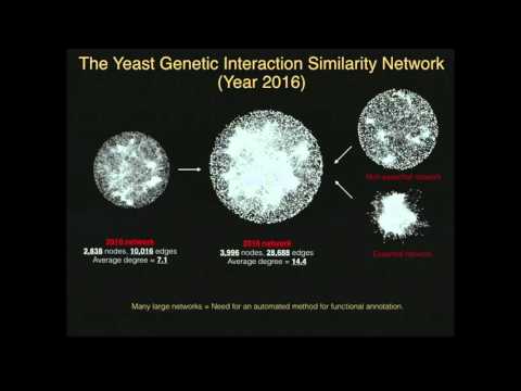 Systematic Functional Annotation of the 2016 Yeast Genetic Interaction Network