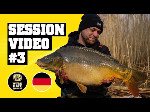Ein Hauch von Frühling - SBS Session Video #3 | Karpfenangeln