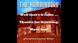 The Humbuggers - Sure Enough (with lyrics)