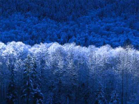 pbc podtekst kiedys a dzis ft labedz