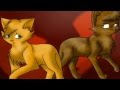 Squirrelflight's Love Life; What SHOULD Have ...